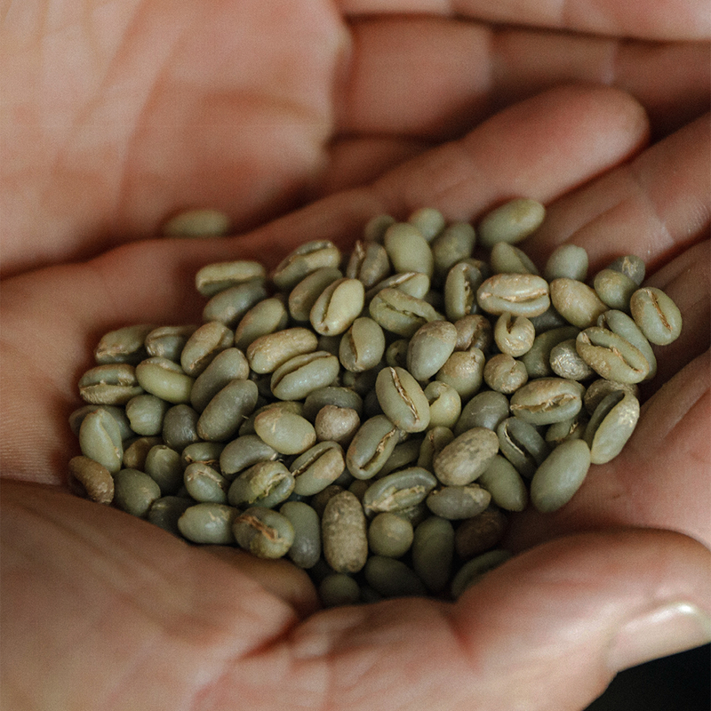 Del grano a la taza: un viaje lleno de sabores