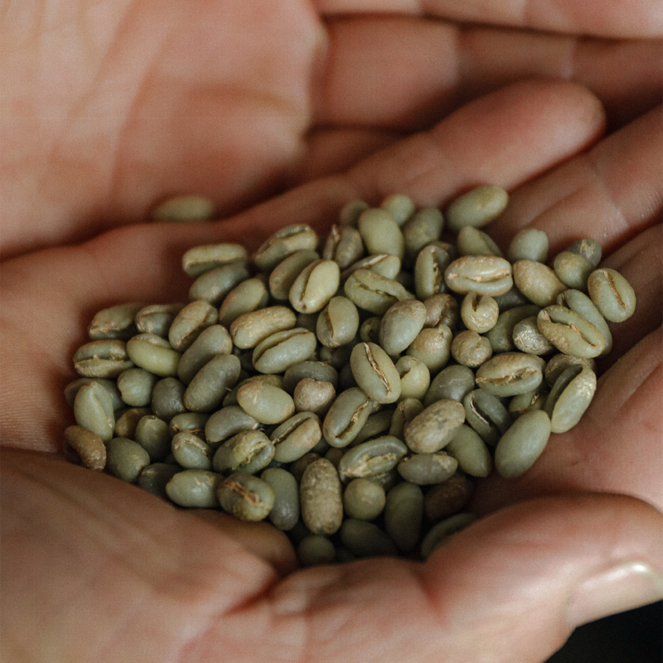 Del grano a la taza: un viaje lleno de sabores